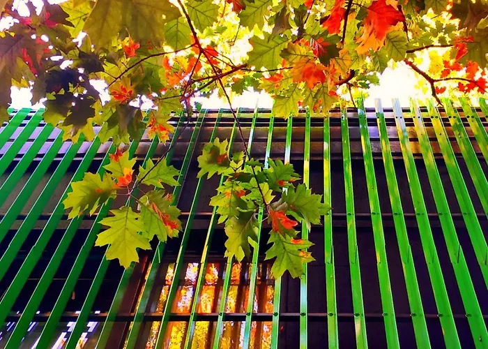 Cube Capsule * Sofia