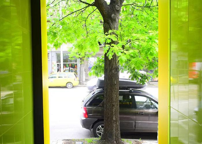 Auberge de jeunesse Cube Capsule *